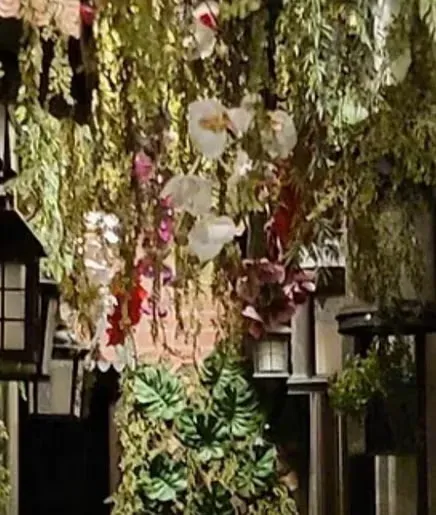 You are currently viewing Designer Head Spa