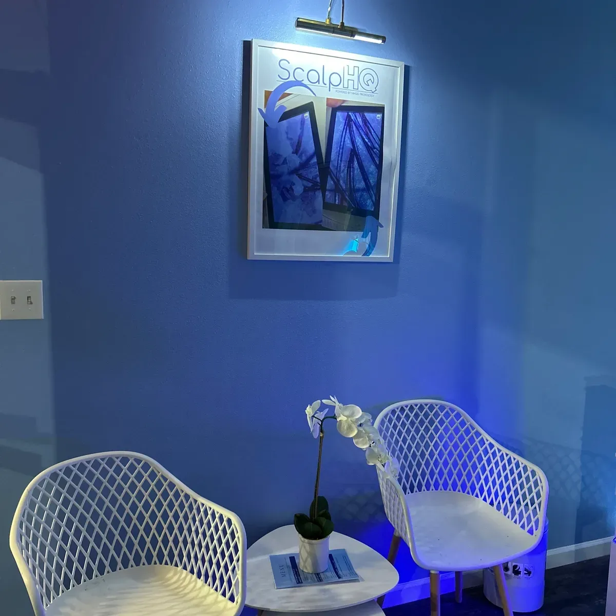 You are currently viewing Scalphq Head & Scalp Spa