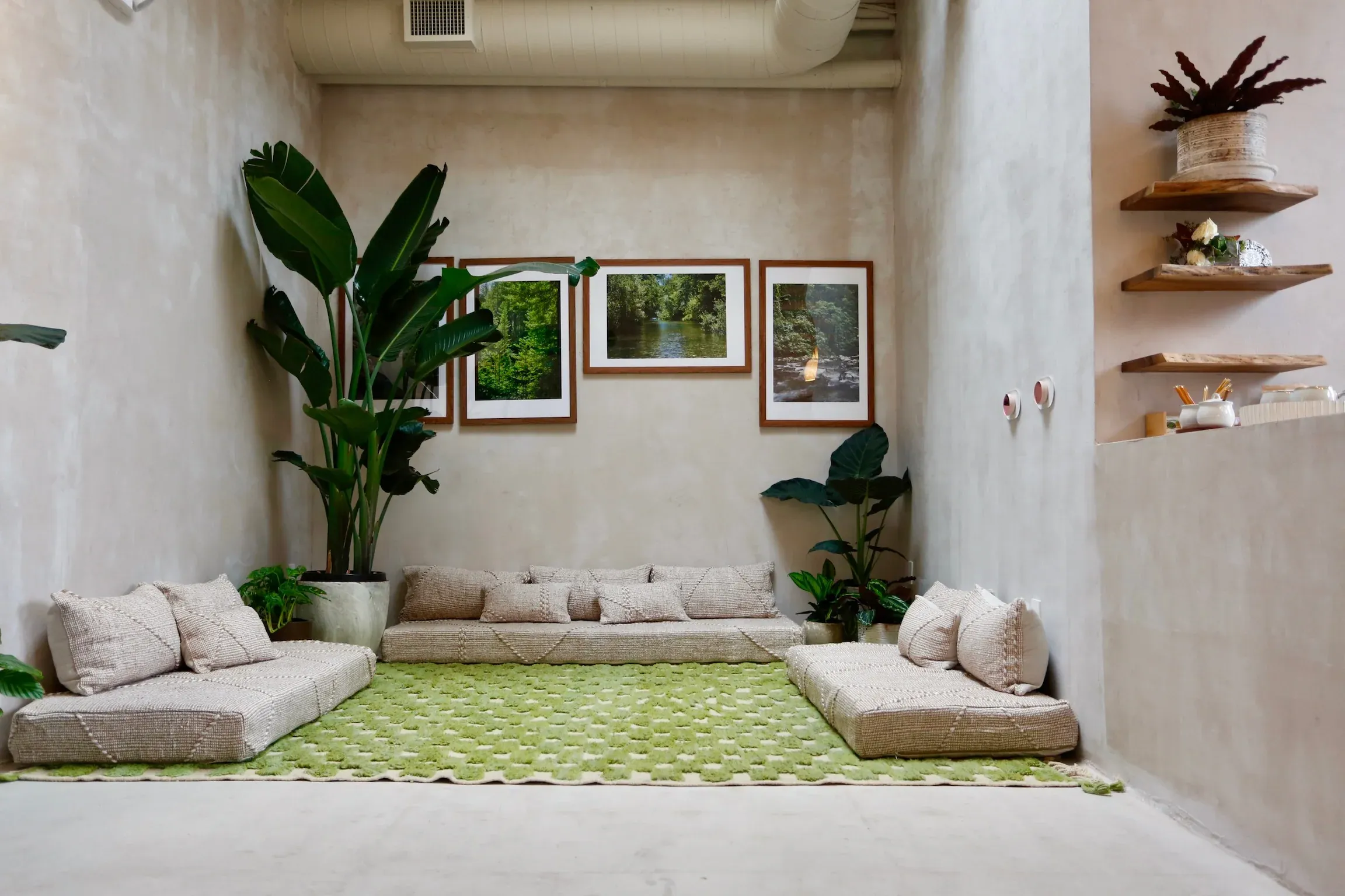 You are currently viewing Scalp Sanctuary