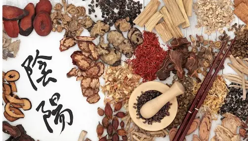 You are currently viewing Herbal Health Spa & Sauna